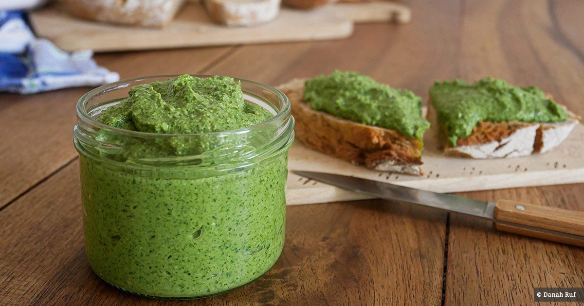 Koriander-Pesto » Rezept für frisches Pesto | Waschbär-Magazin