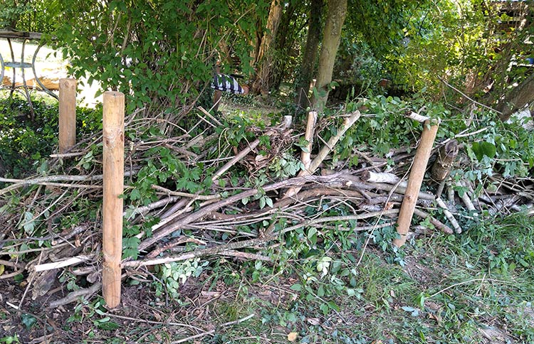 In Abständen wurden Holzpfähle für die Benjeshecke in den Boden geschlagen.