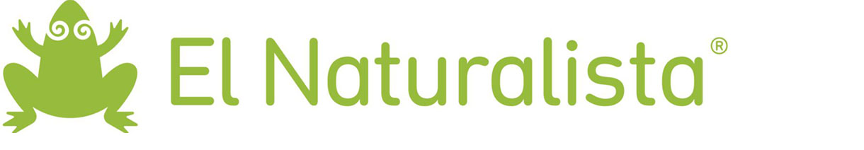 El Naturalista Schuhe Online Bestellen Waschbar